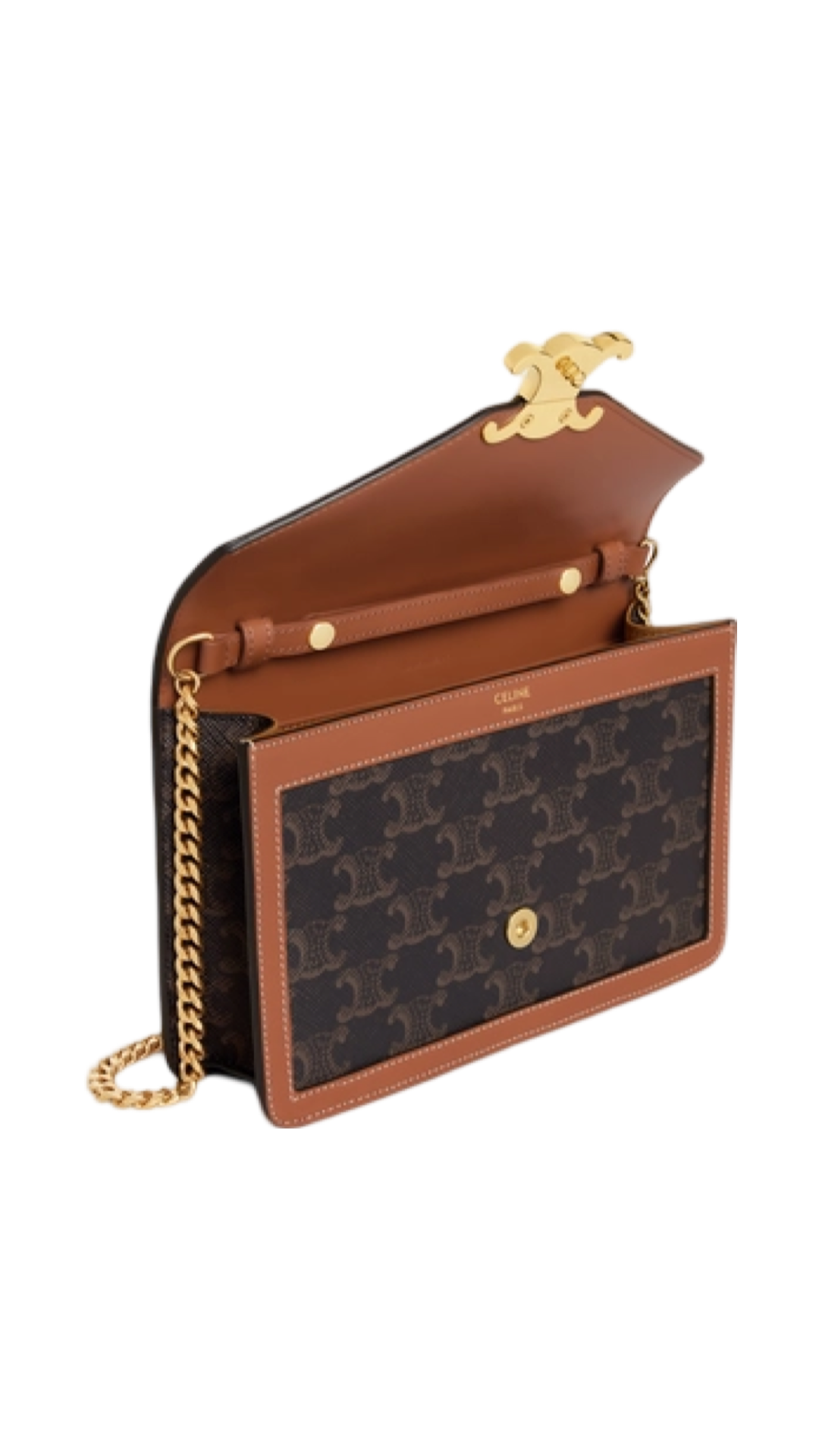 Wallet on Chain Margo in Triomphe Canvas and Calfskin