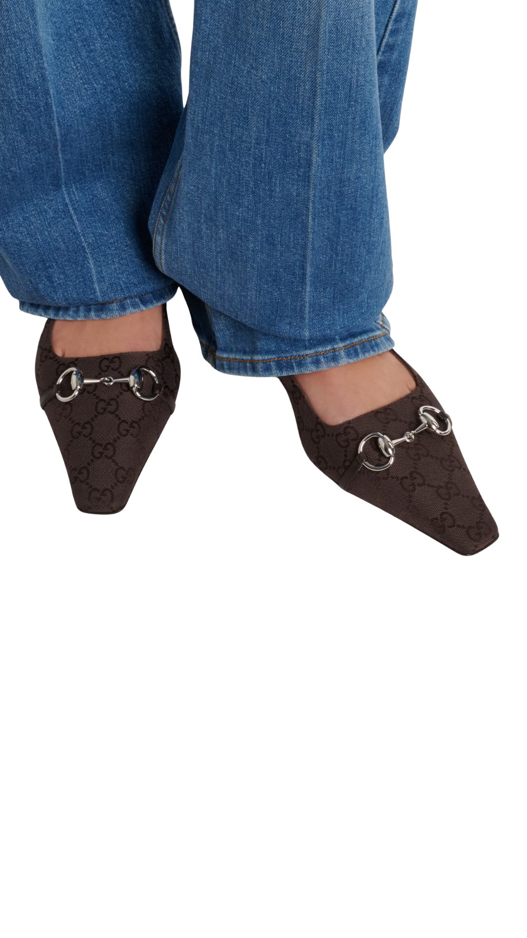 Vittoria GG Canvas Ballet Flats in Brown