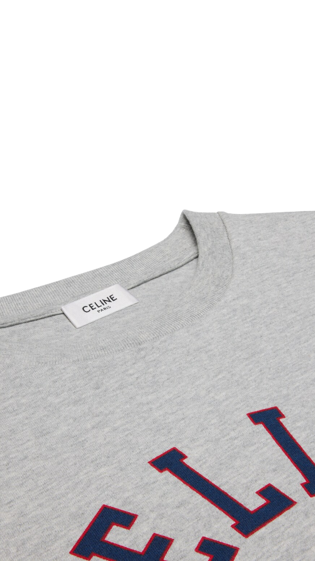 Loose T-Shirt in Cotton Jersey in Grey/Blue/Red