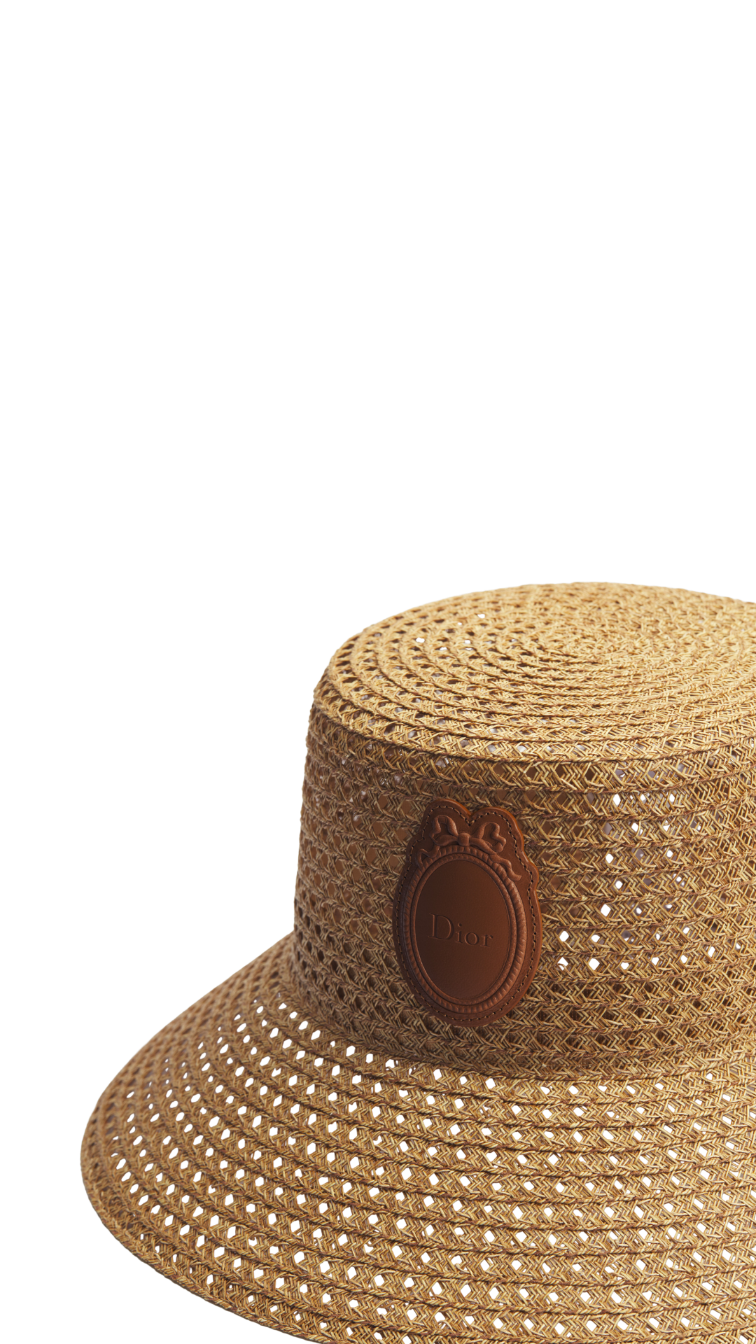 Dioriviera Dior Médaillon Teddy-D Large Brim Hat in Natural Straw and Lambskin