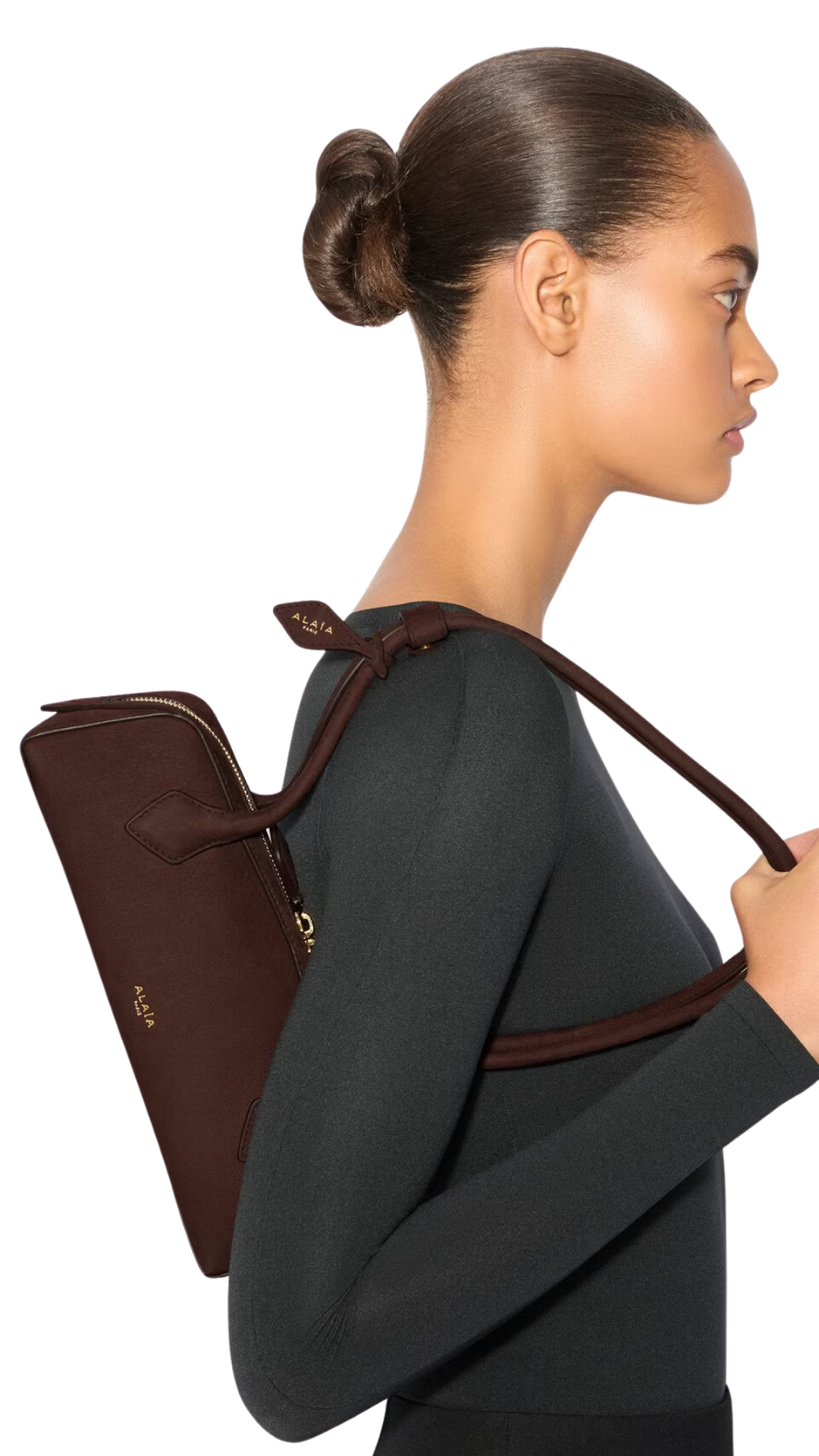 Le Teckel Small Bag in Brown/Gold Nubuck
