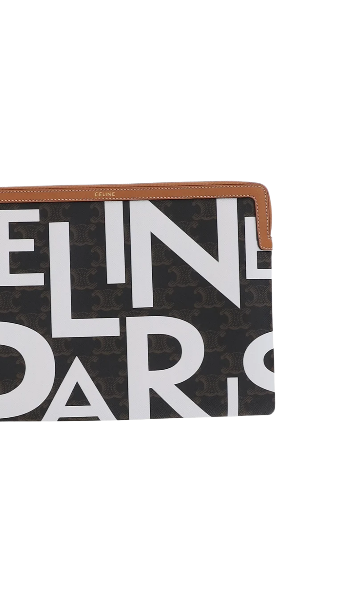 Pouch with Strap Cuir Triomphe in Triomphe Canvas and Calfskin