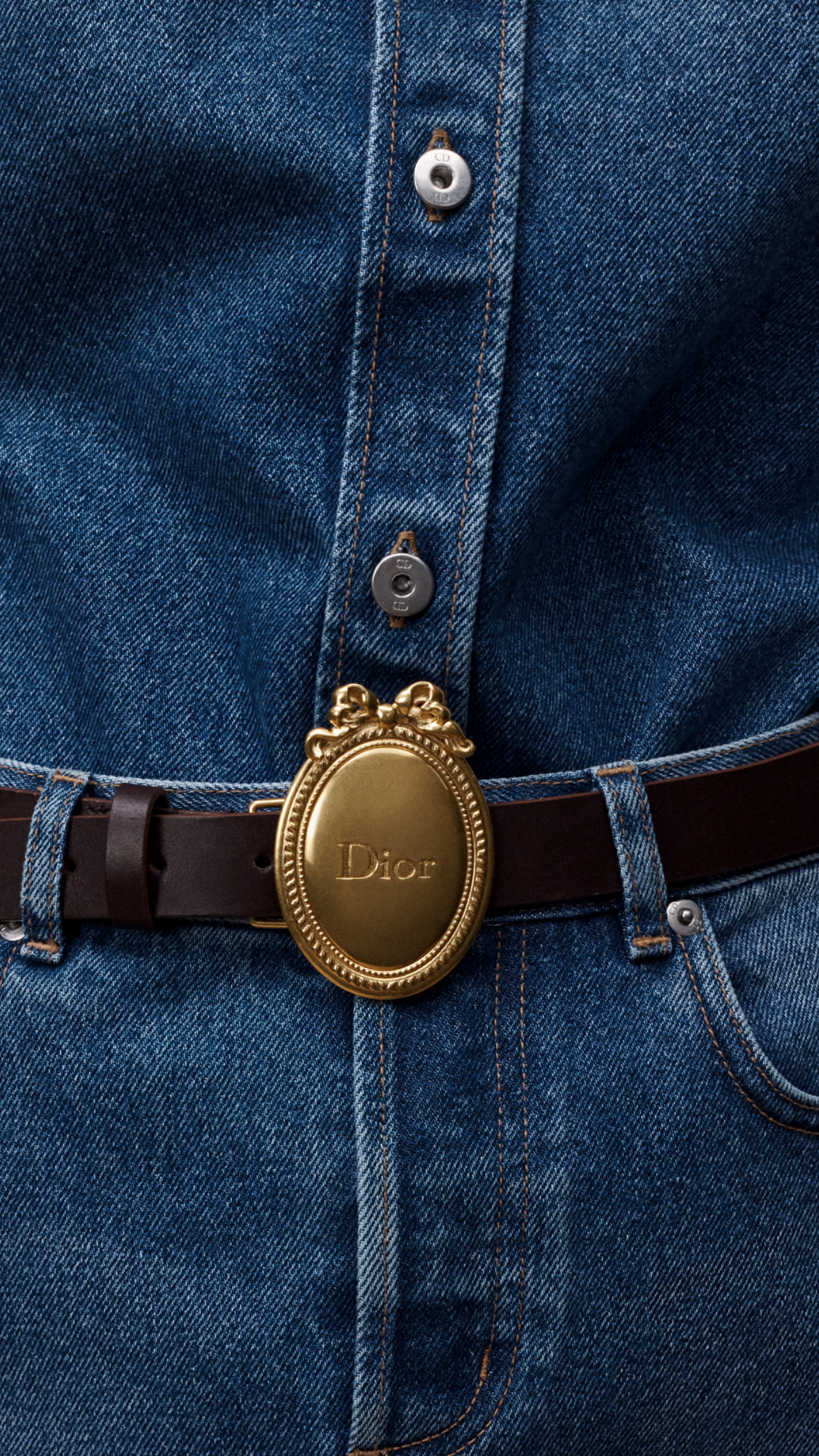 Dior Médaillon Belt in Cocoa Smooth Calfskin, 25 MM