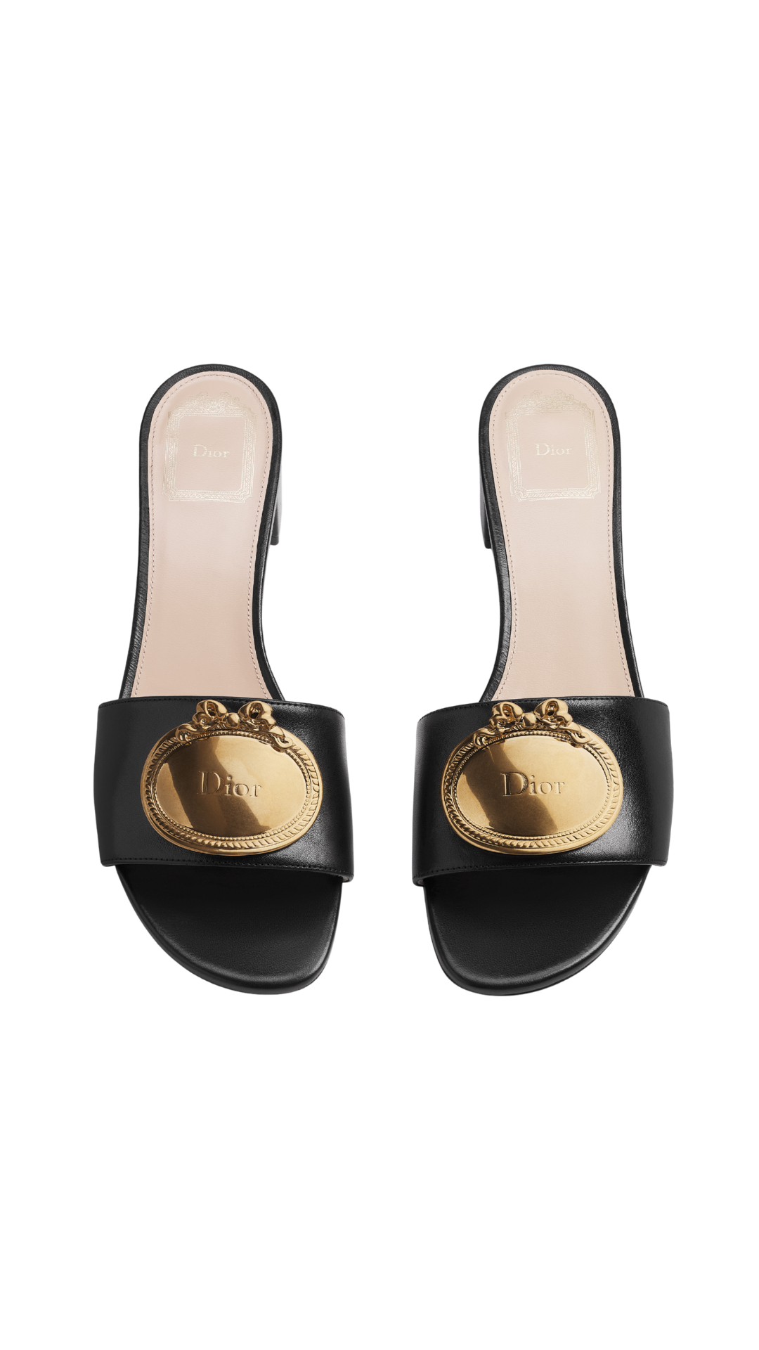 Dior Médaillon Buckle Heeled Slide in Black Lambskin