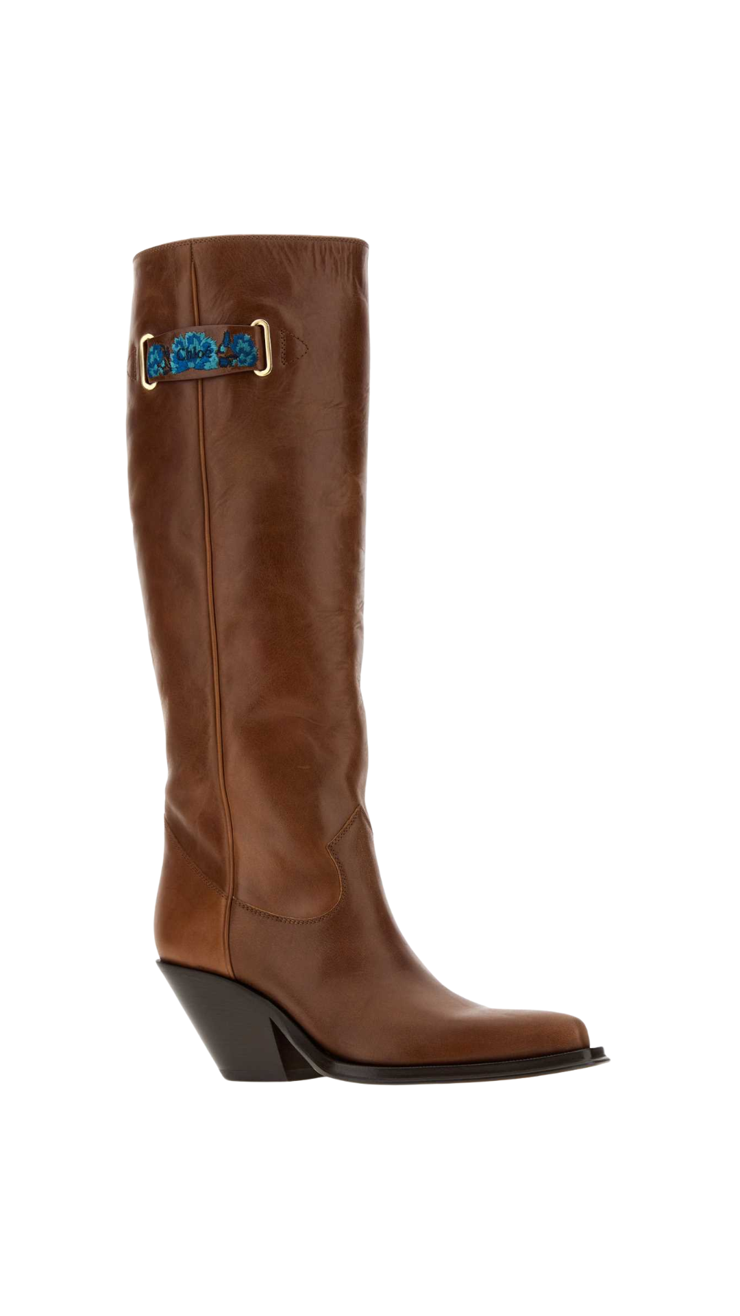 Azelan Cowboy Boots in Brown Leather