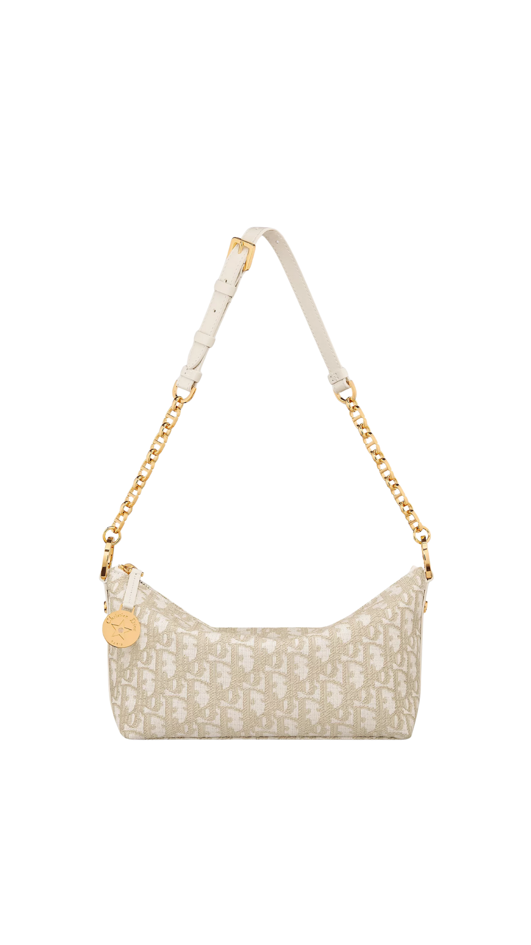 Diorstar Hobo Bag with Chain in Oblique Gold