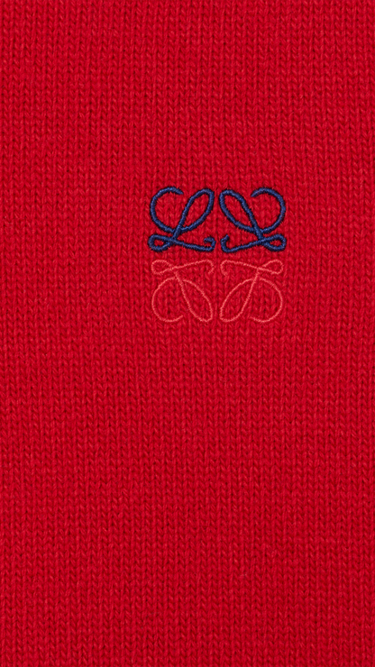 Sweater in Red Wool