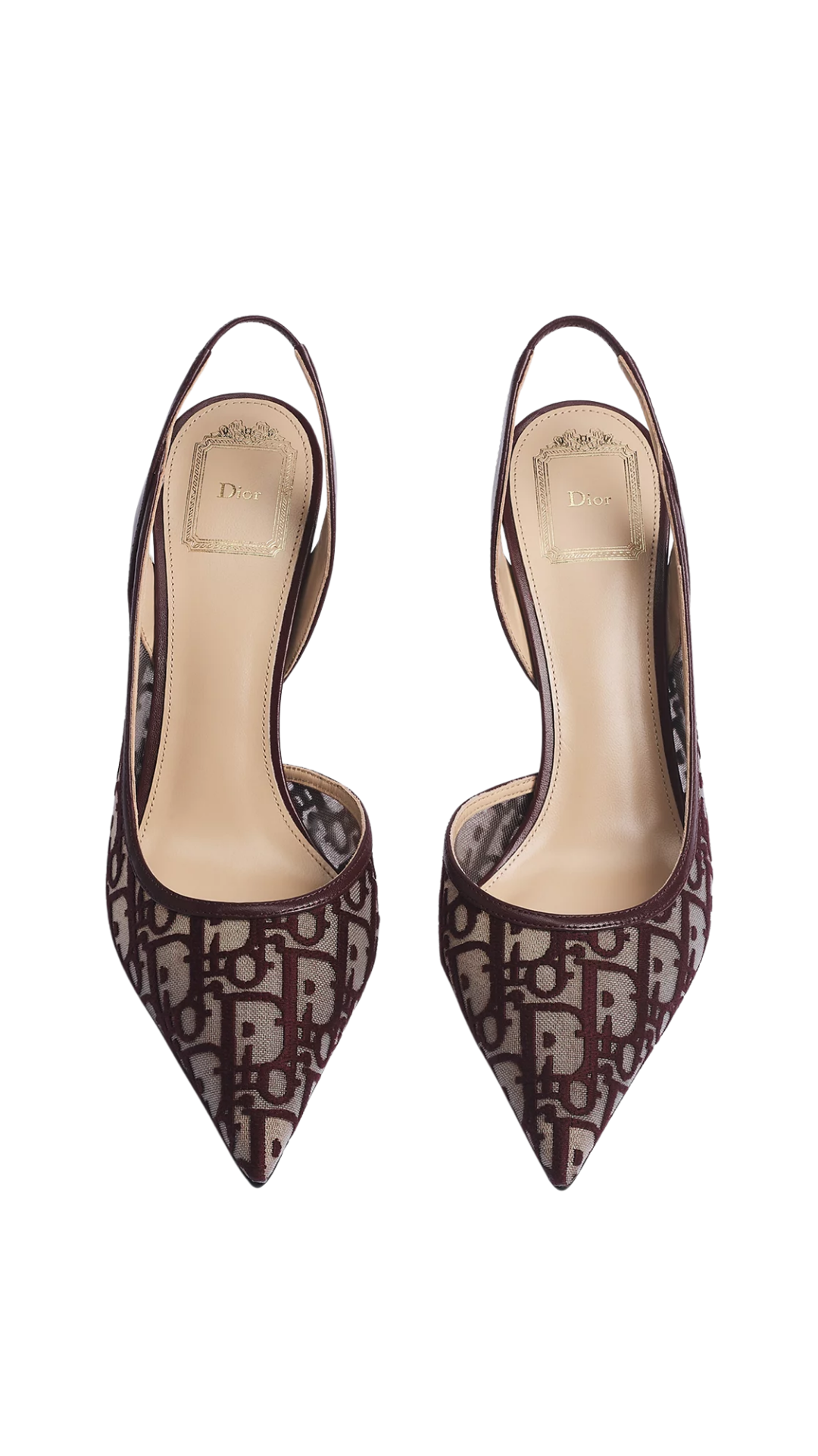 Adiorable Slingback Pump in Burgundy Dior Oblique Embroidered Mesh