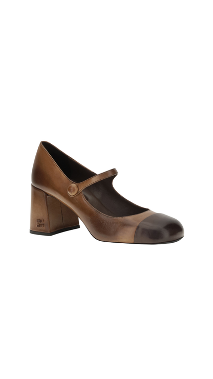 Leather Mary Jane Ballerinas in Brown