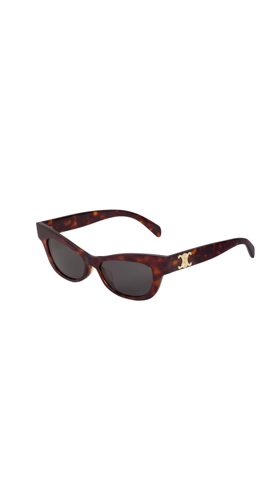 Triomphe 19 Sunglasses in Acetate