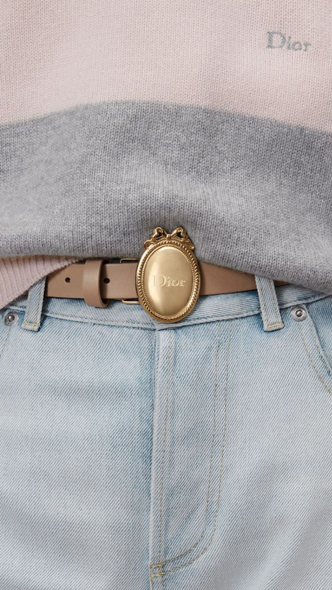 Dior Médaillon Belt in Glove Smooth Calfskin, 20 MM