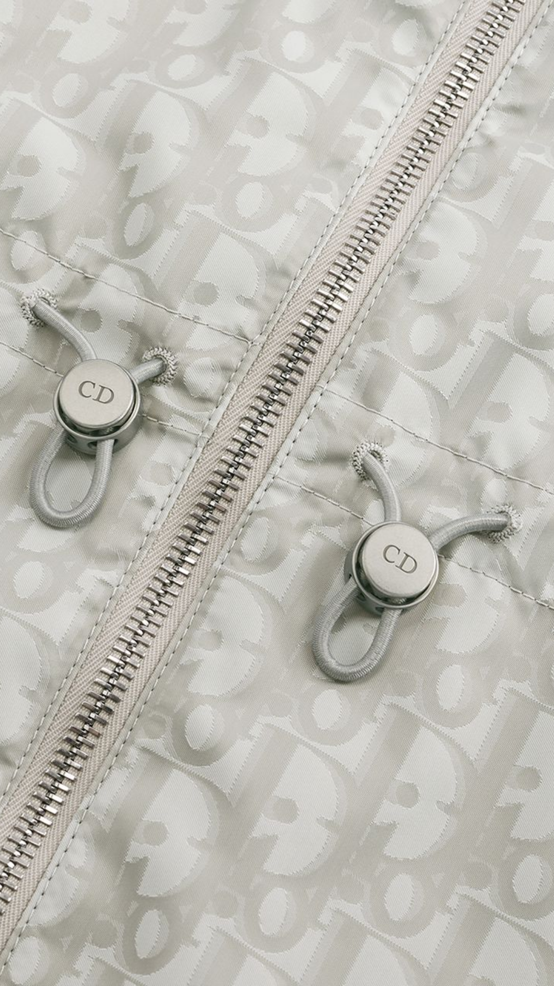 Zipped Hooded Jacket in Gray Dior Oblique Technical Fabric