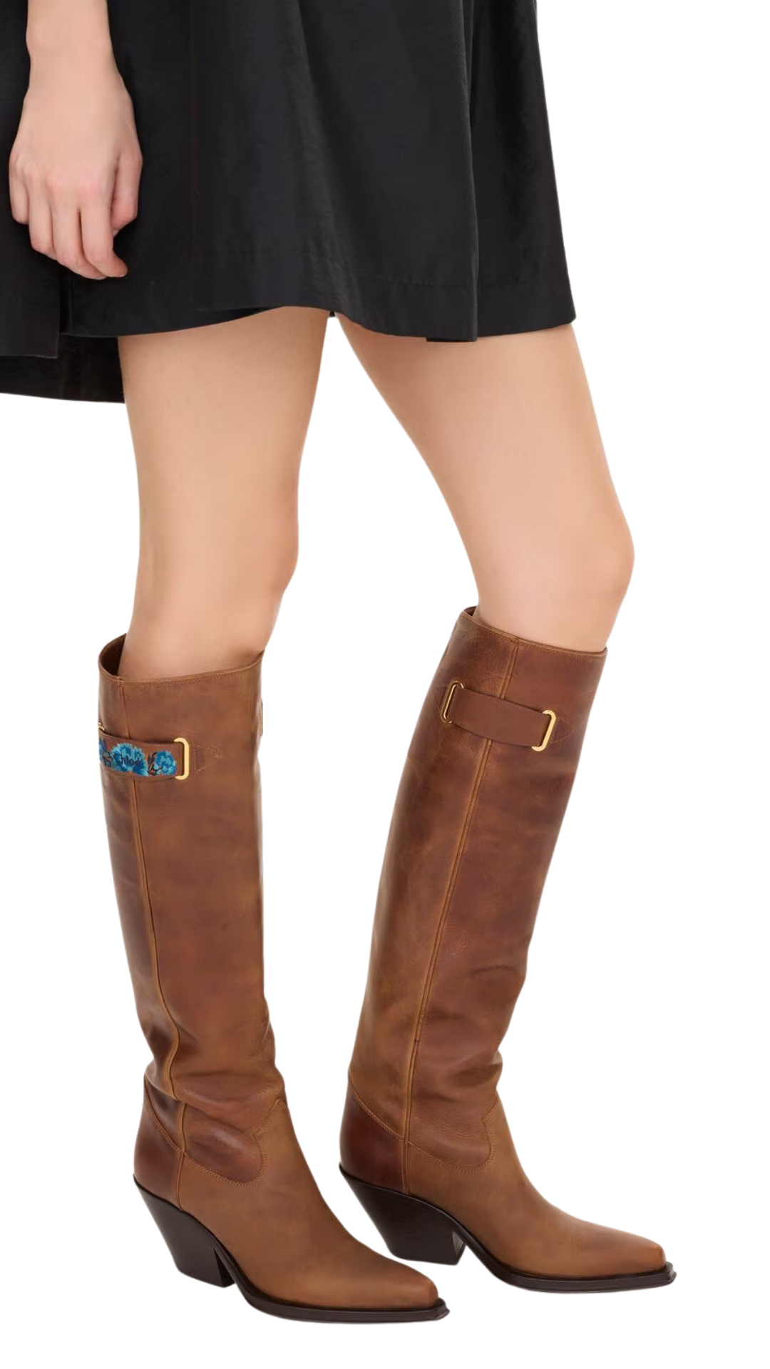 Azelan Cowboy Boots in Brown Leather