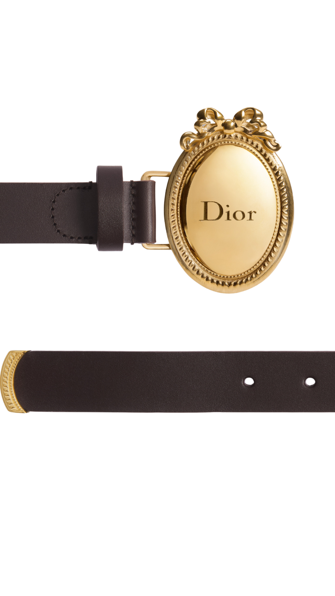 Dior Médaillon Belt in Cocoa Smooth Calfskin, 25 MM
