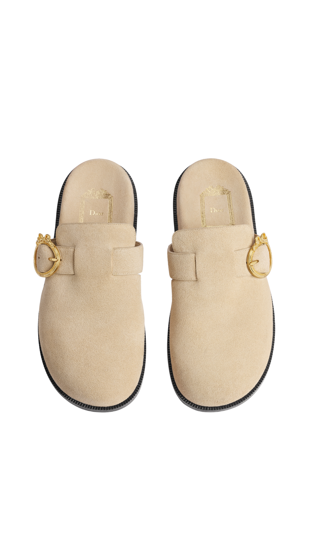 Dior Médaillon Buckle Mule in Trench Suede Calfskin