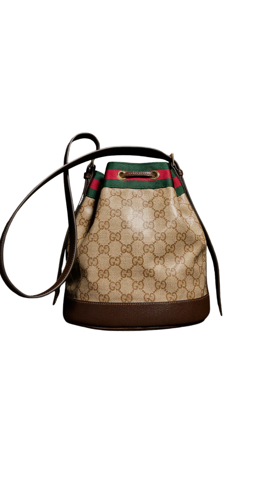 Venice Small Bucket Bag in Sand and Brown GG Canvas