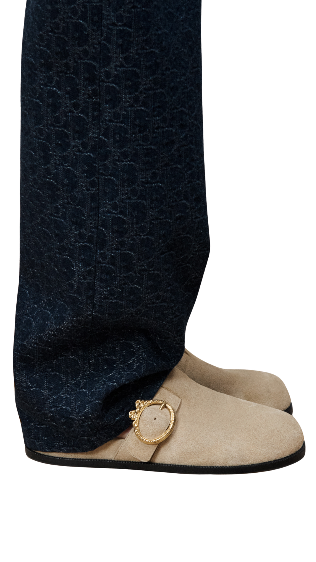 Dior Médaillon Buckle Mule in Trench Suede Calfskin