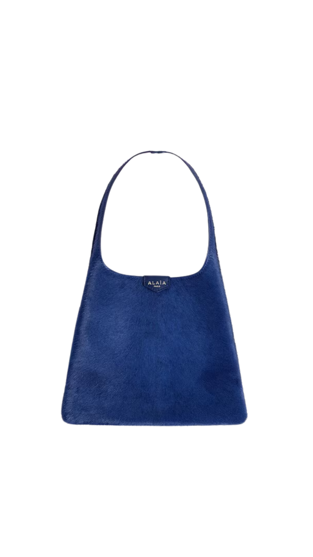 Mini Hobo Bag in Blue Haircalf