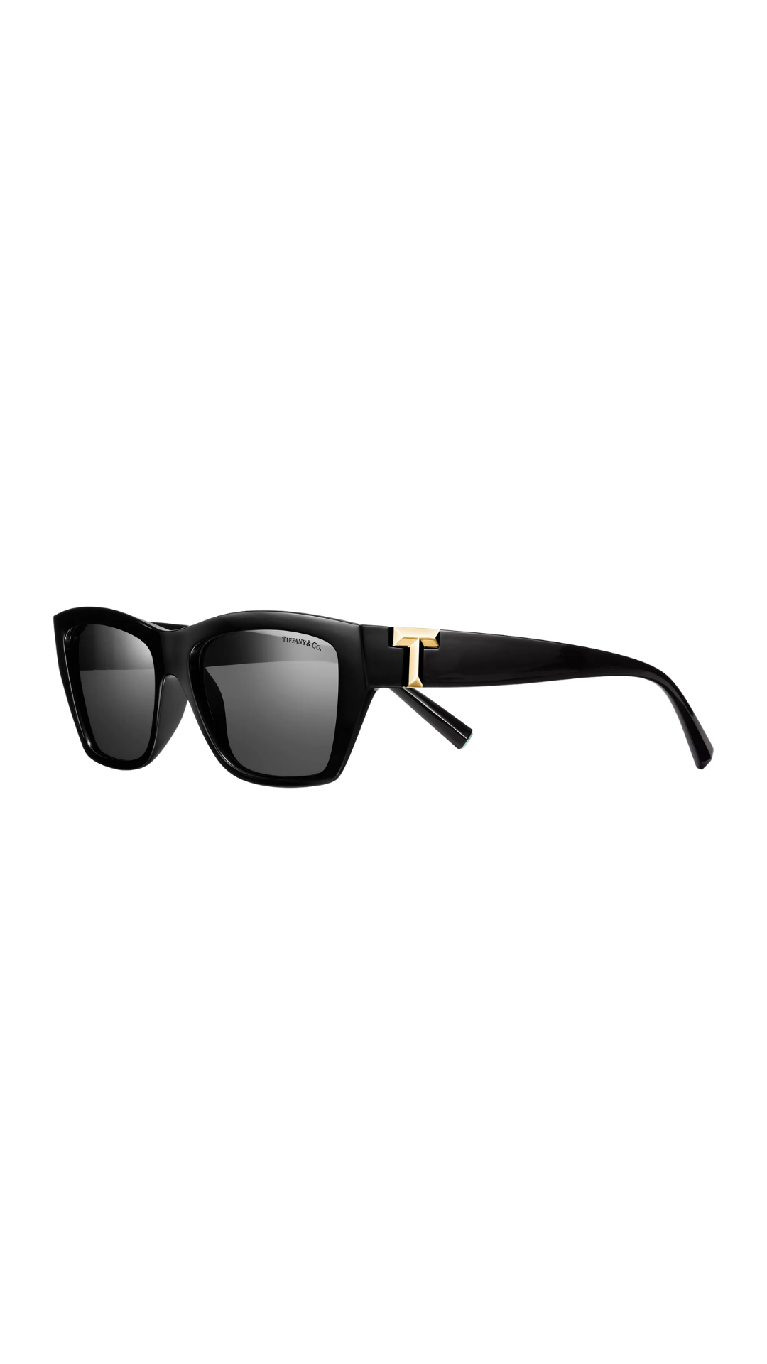Tiffany T Sunglasses in Black Acetate with Dark Gray Lenses