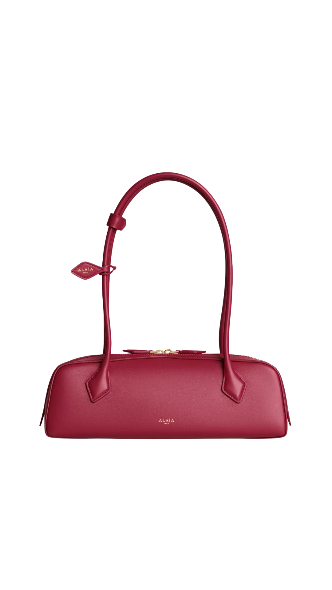 Le Teckel Medium Bag in Carmine