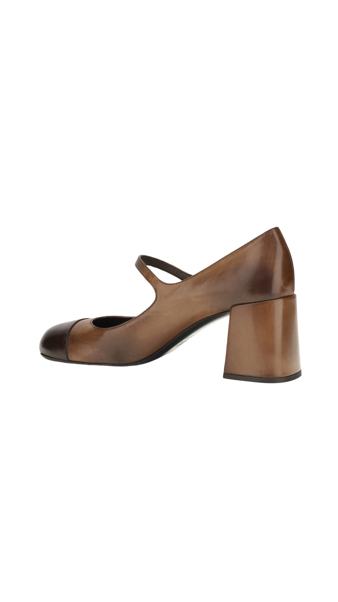 Leather Mary Jane Ballerinas in Brown