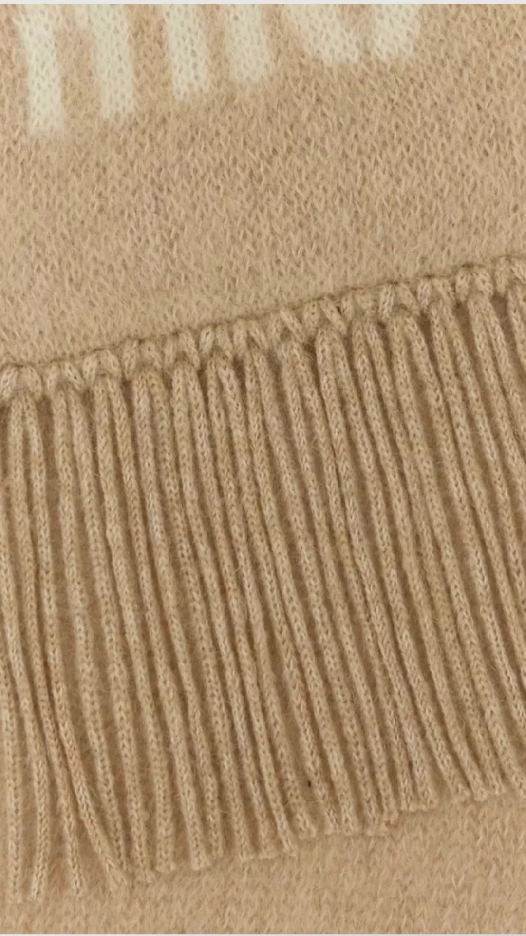 Scarf with Knit Texture and Fringe Detailing in Beige