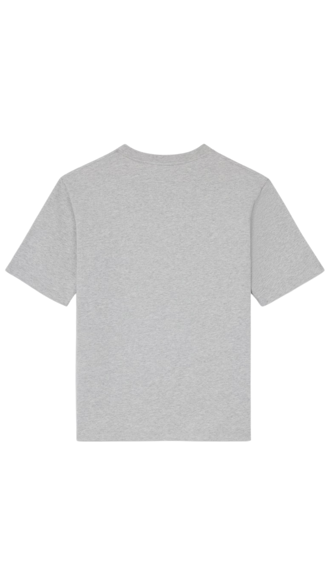 Loose T-Shirt in Cotton Jersey in Grey/Blue/Red