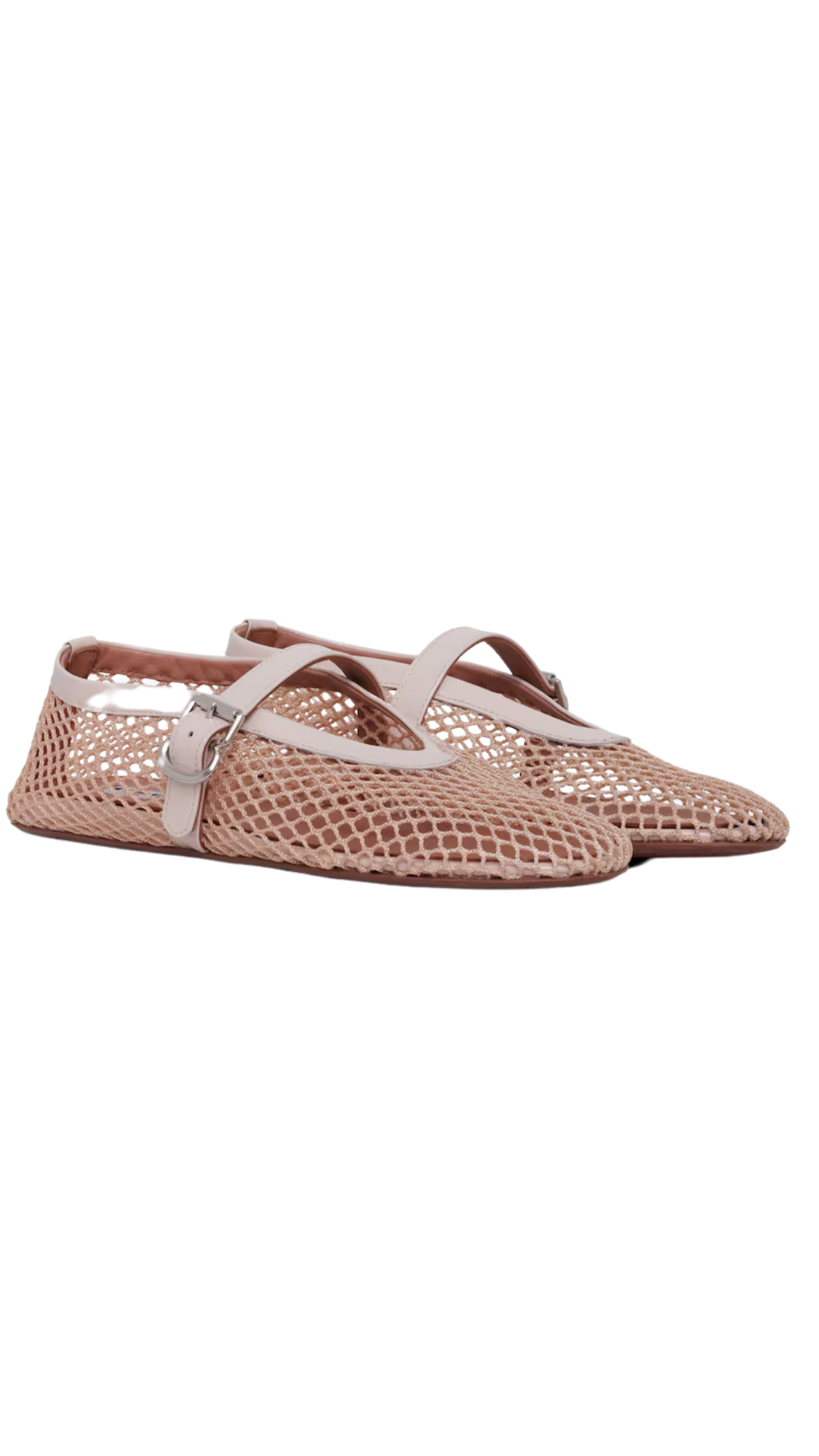 Ballet Flats in Fishnet Nude