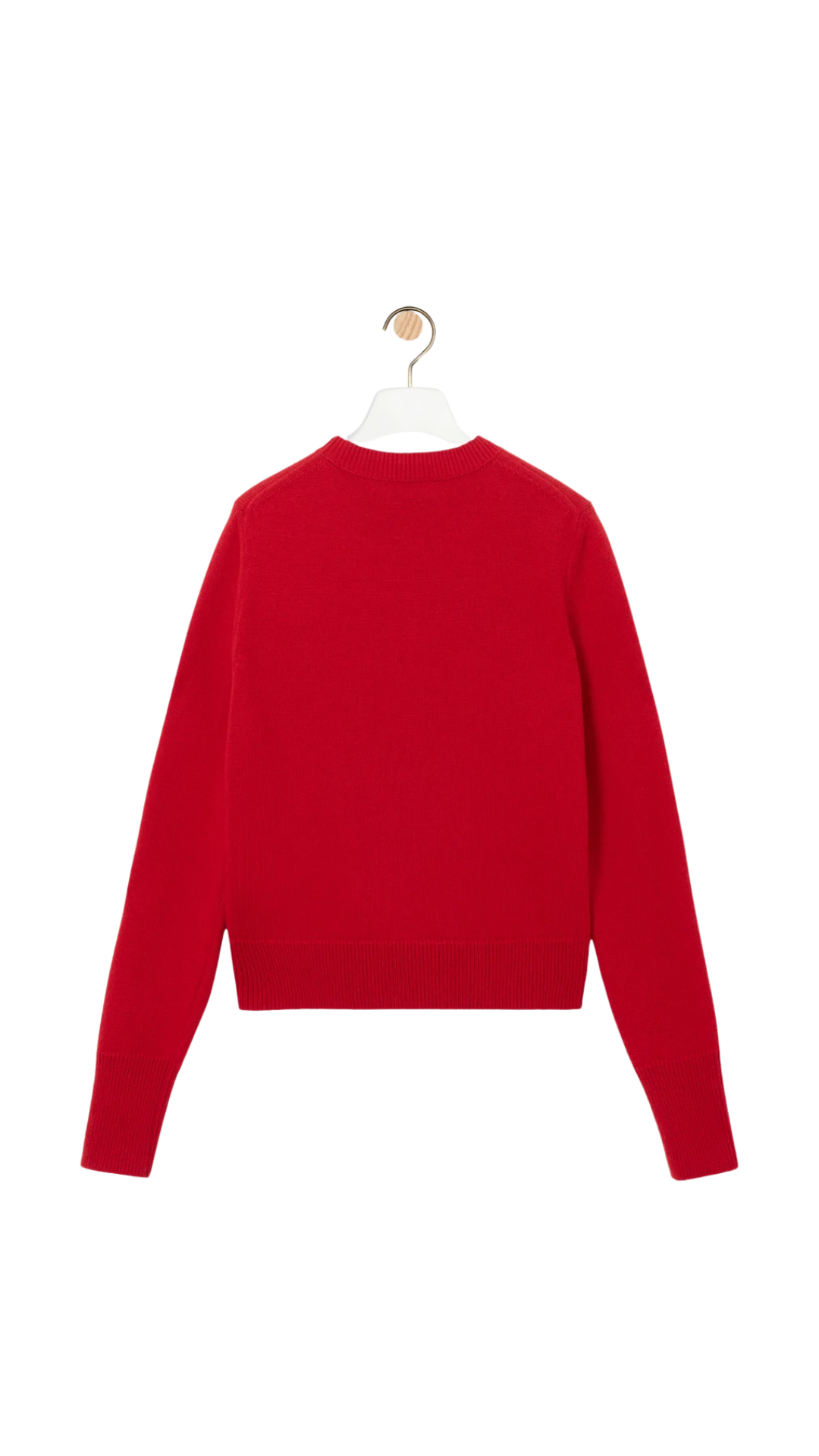 Sweater in Red Wool
