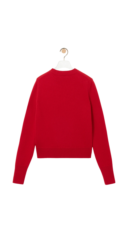 Sweater in Red Wool