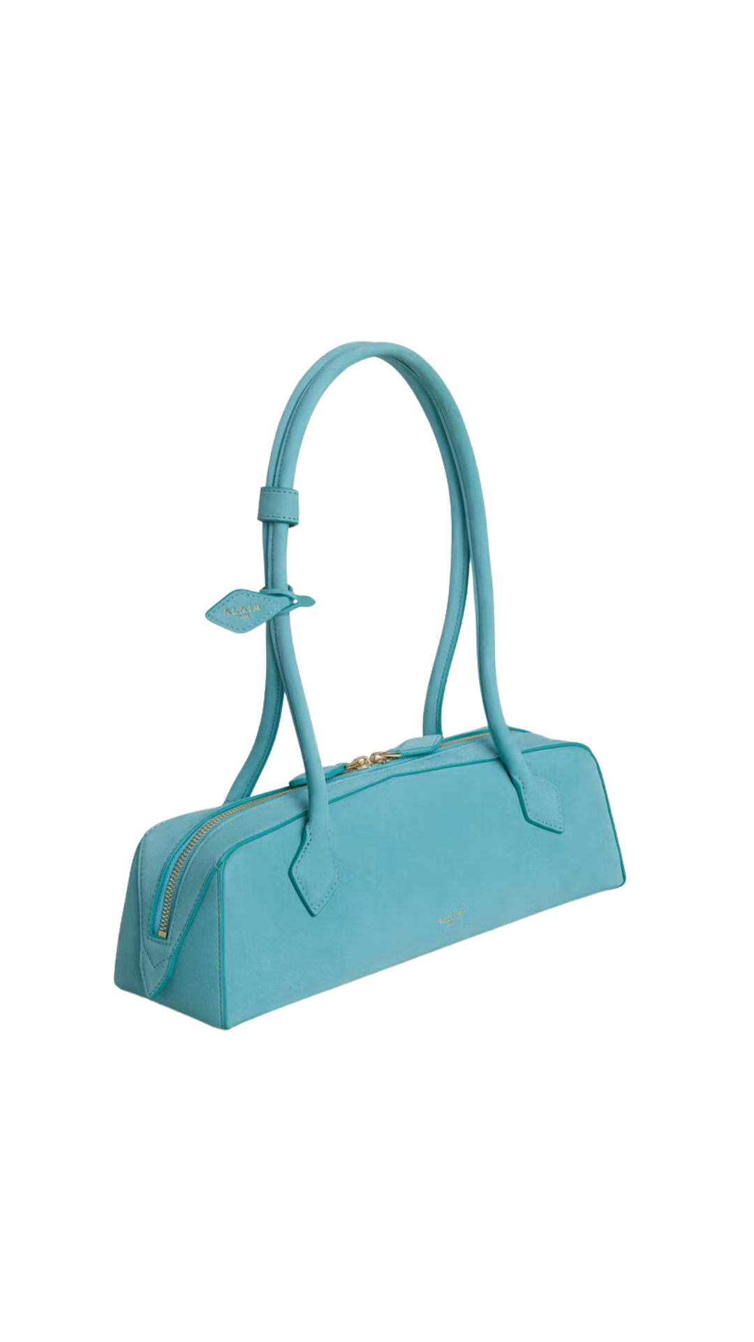 Le Teckel Medium Bag in Apatite Nubuck
