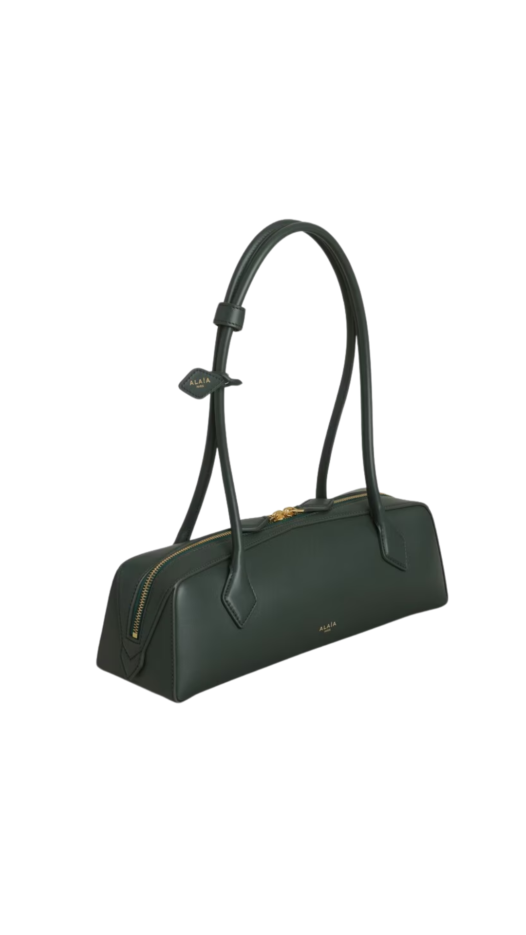 Le Teckel Medium Bag in Lichen Calfskin