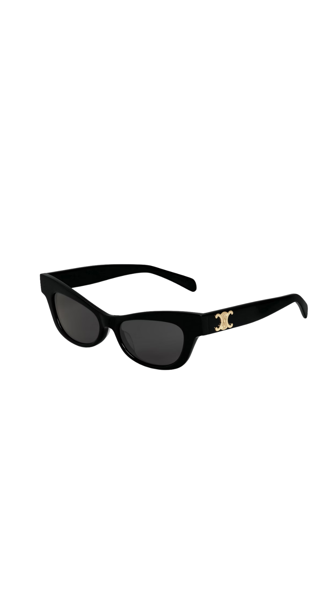 Triomphe 19 Sunglasses in Acetate