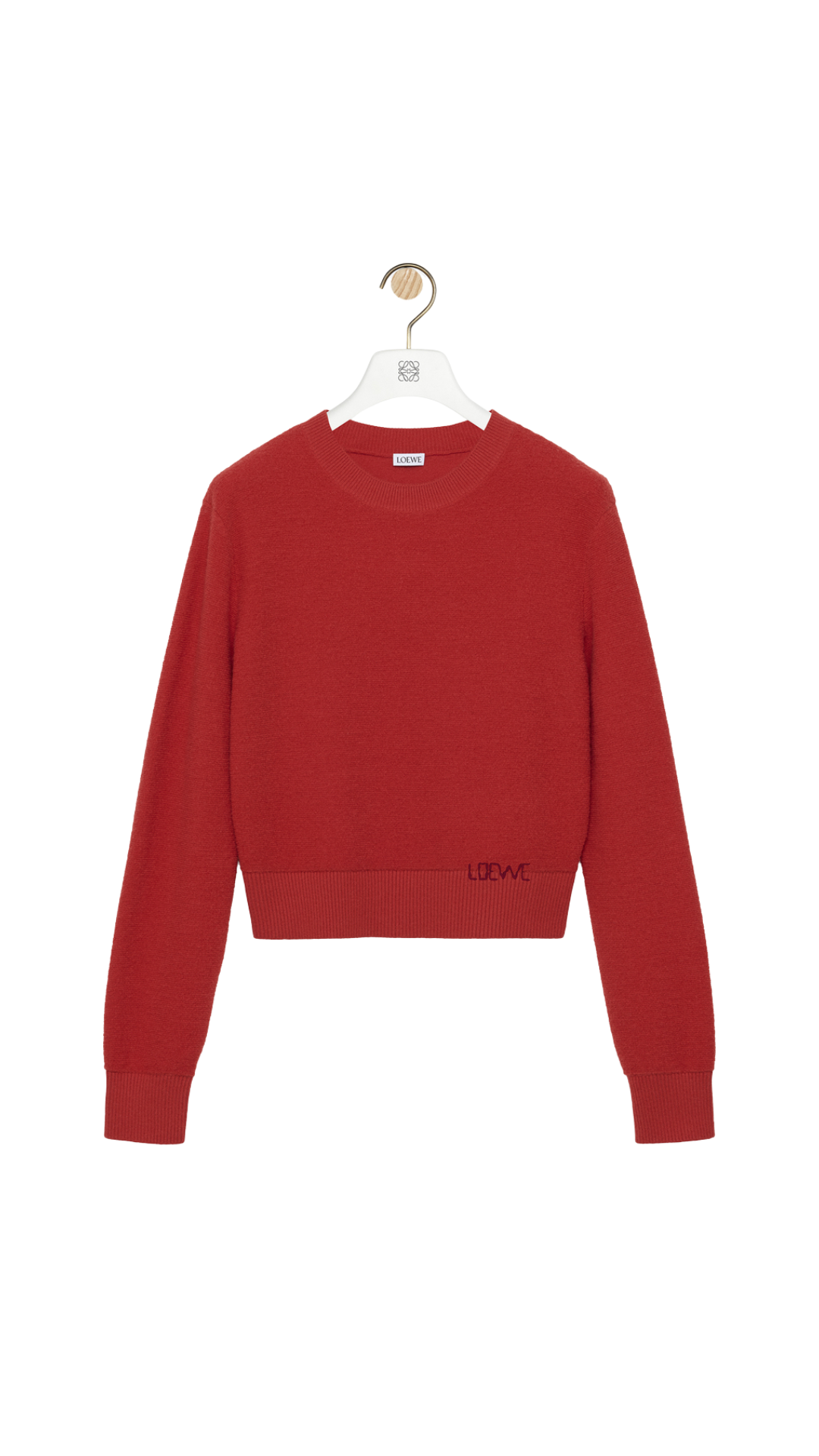 Sweater in Red Wool