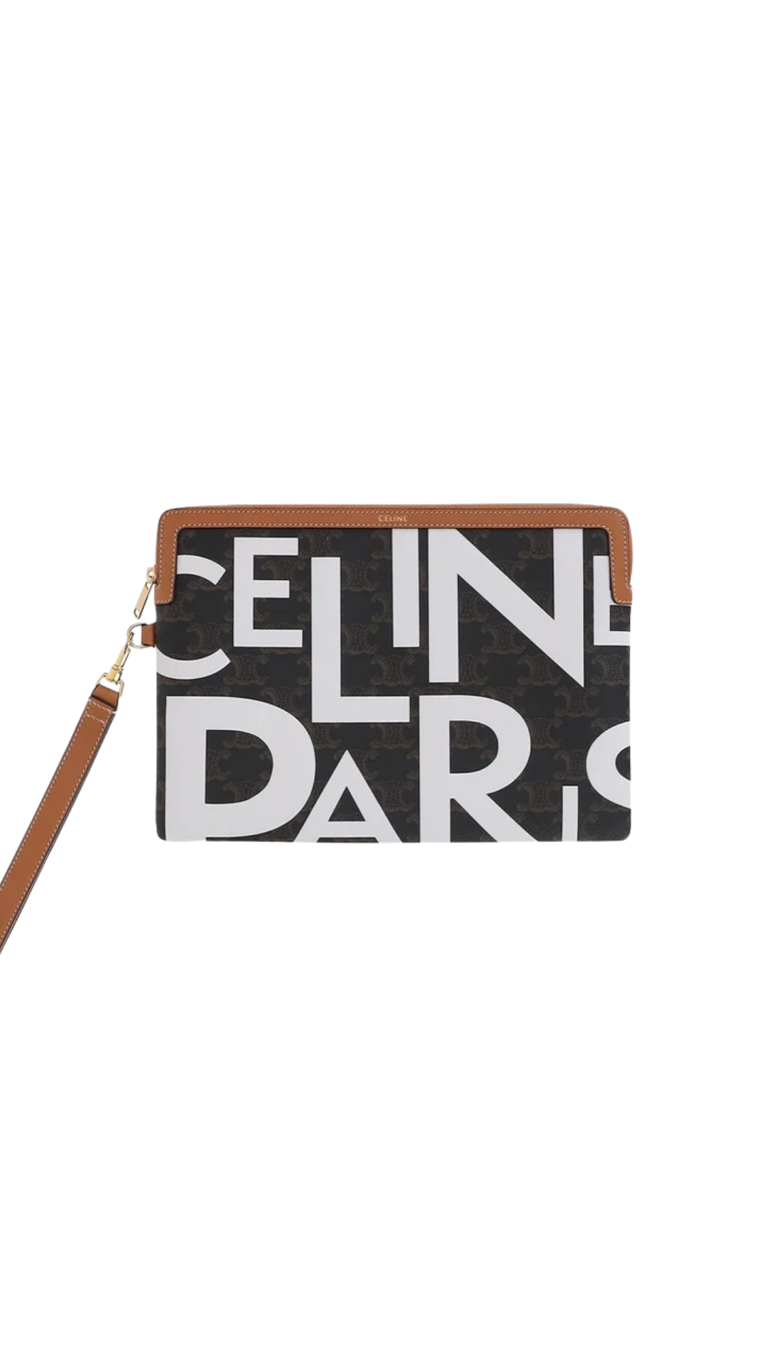 Pouch with Strap Cuir Triomphe in Triomphe Canvas and Calfskin