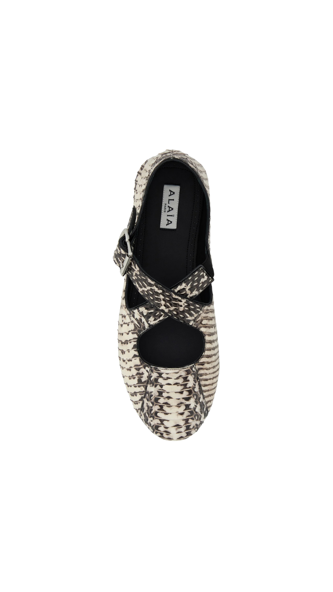 Criss Cross Ballet Flats in Ayers