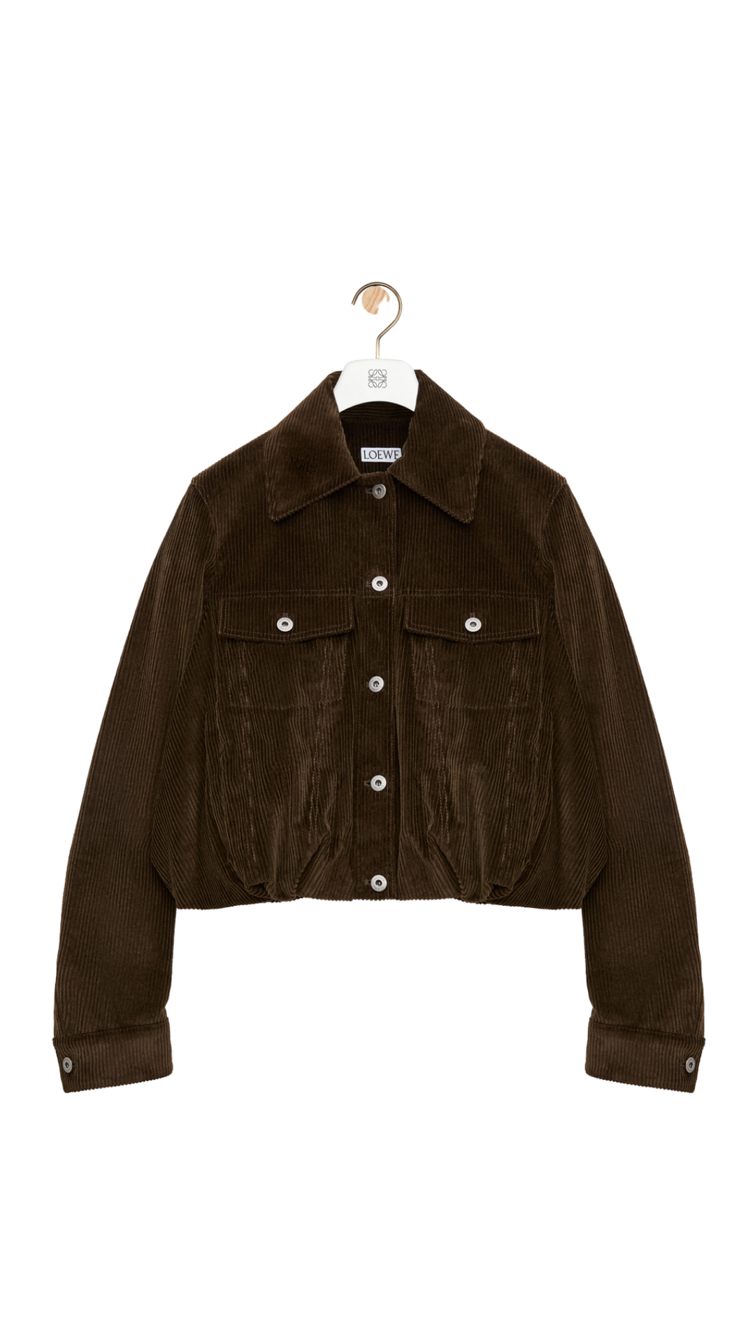 Jacket in Brown Cotton Corduroy