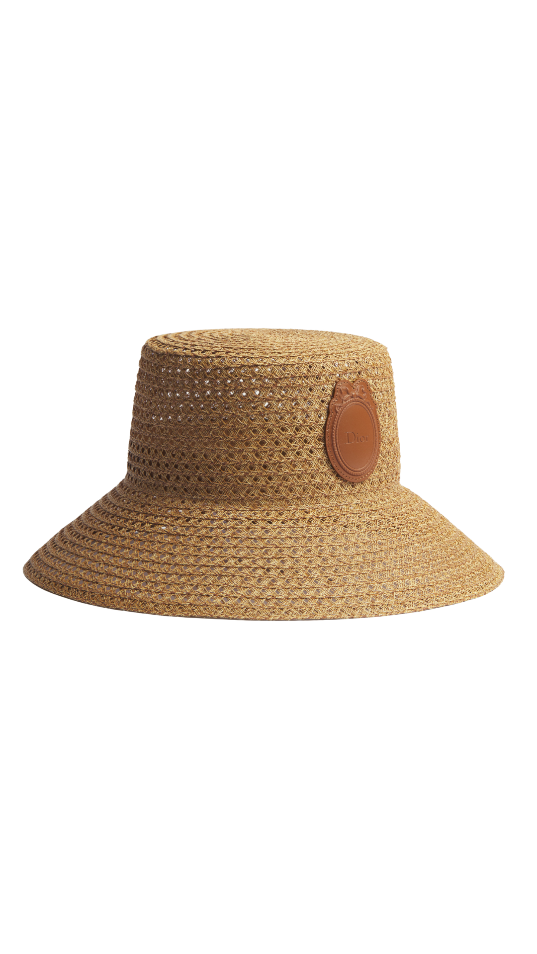 Dioriviera Dior Médaillon Teddy-D Large Brim Hat in Natural Straw and Lambskin