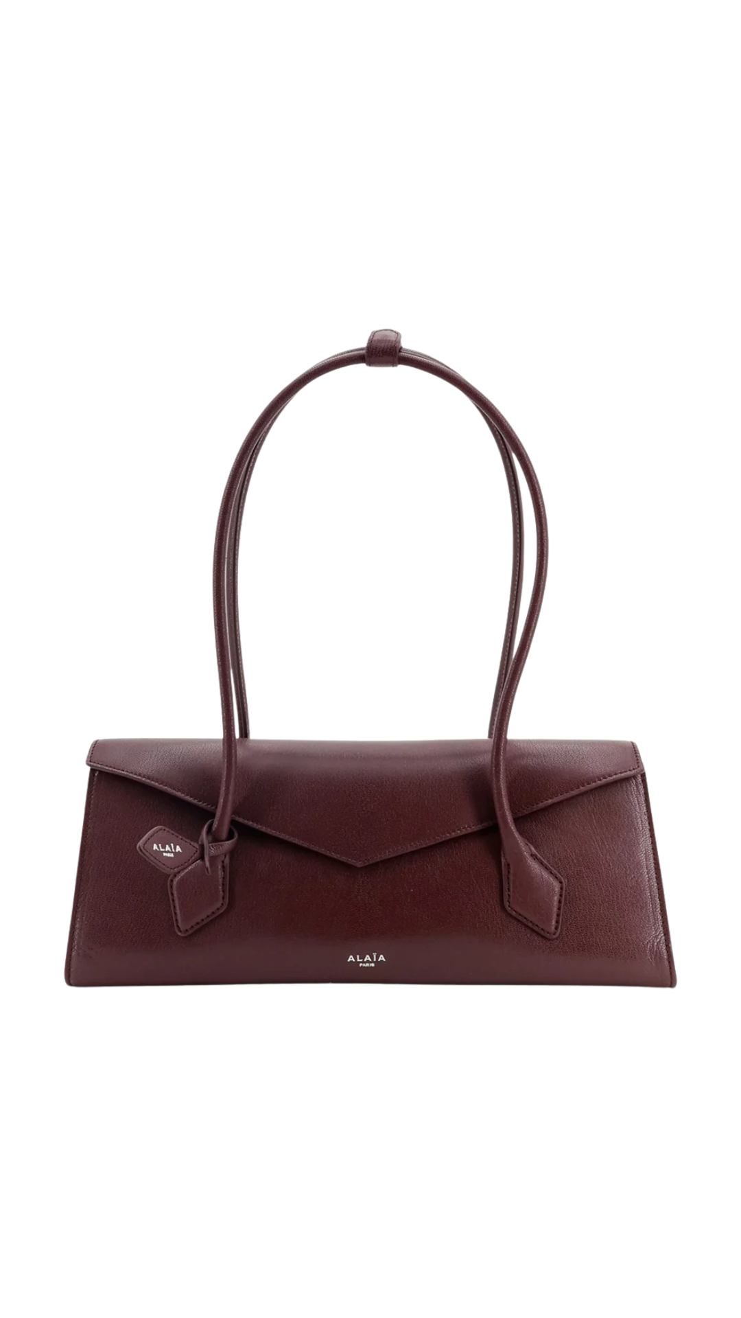 Le Teckel Flap Medium Bag in Shiny Goatskin