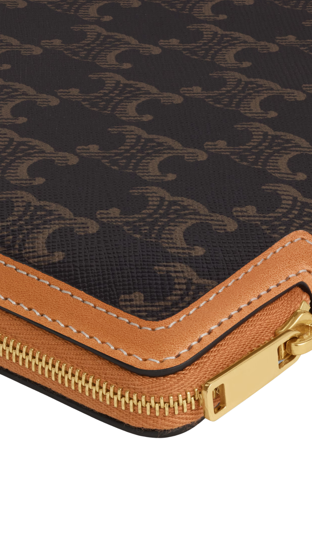 Small Pouch With Strap Cuir Triomphe In Triomphe Canvas And Calfskin
