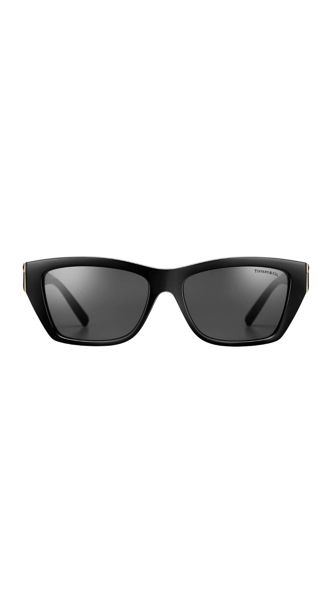 Tiffany T Sunglasses in Black Acetate with Dark Gray Lenses