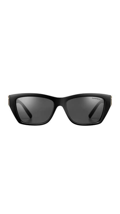 Tiffany T Sunglasses in Black Acetate with Dark Gray Lenses