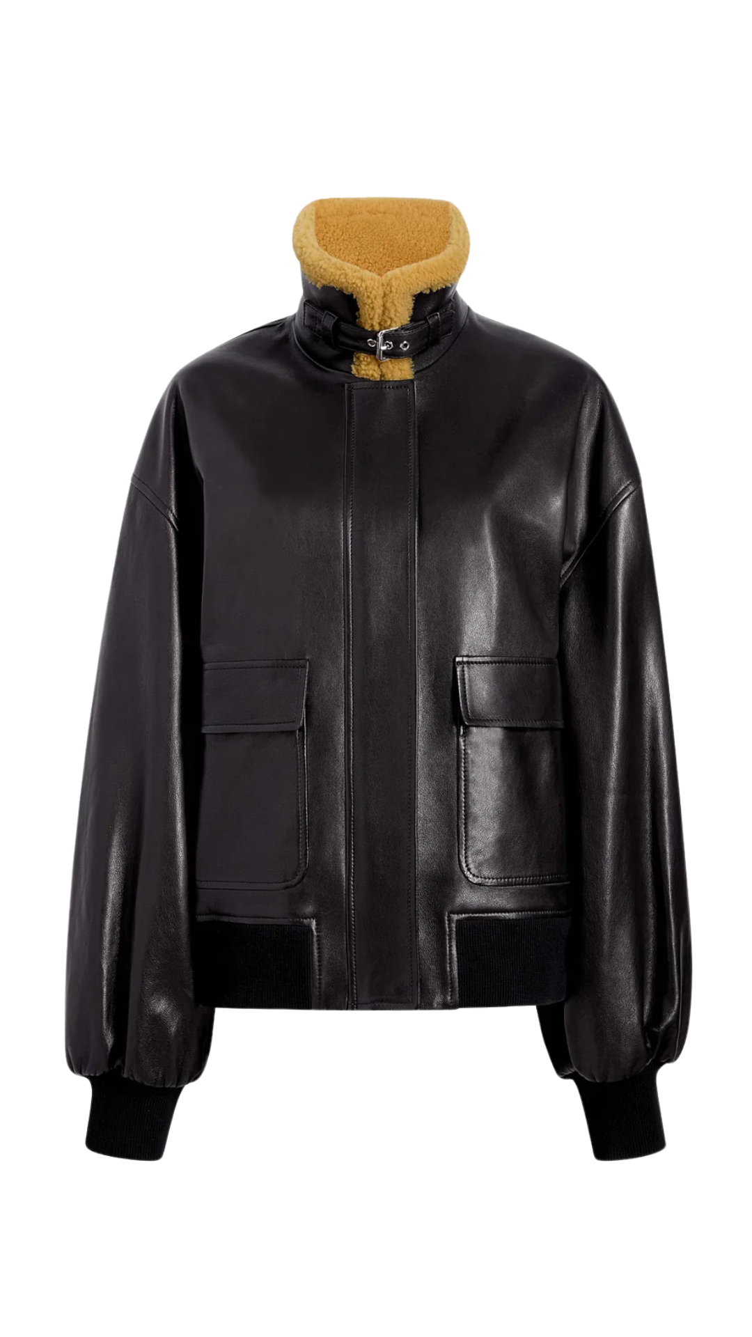 Sandor Jacket in Black Leather
