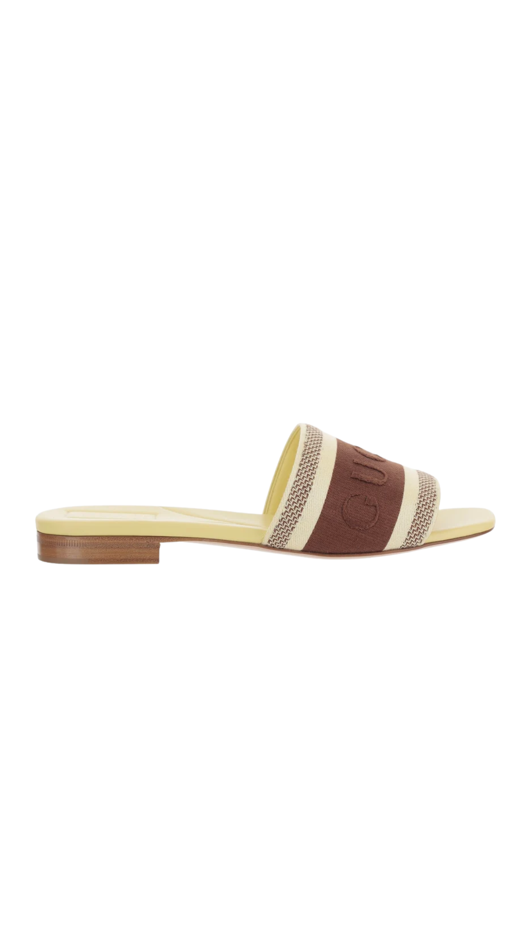 Slide Sandal in Brown