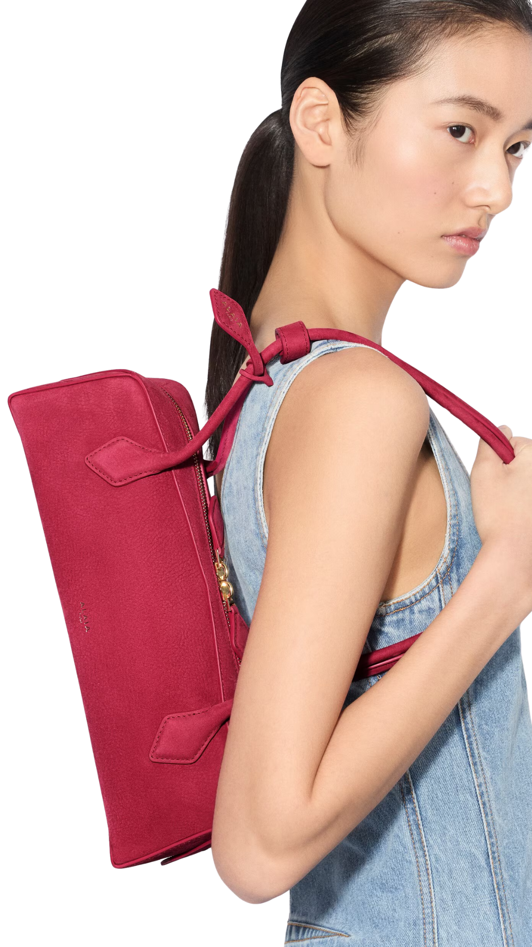 Bolso mediano Le Teckel de nobuk