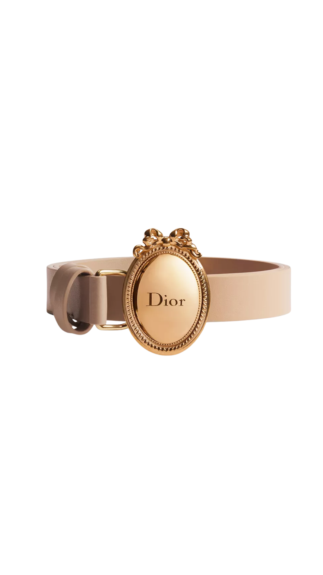 Dior Médaillon Belt in Glove Smooth Calfskin, 20 MM