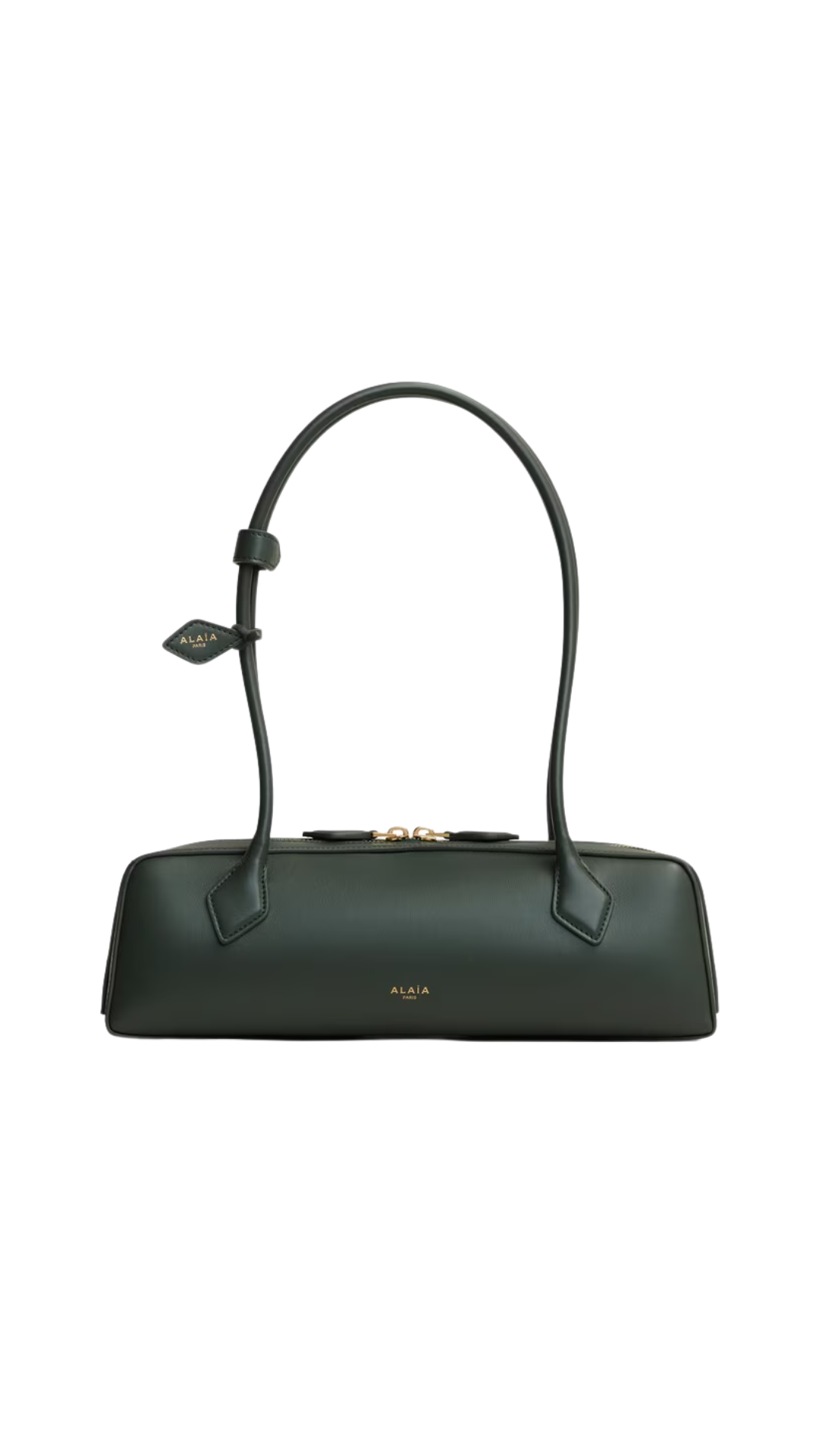 Le Teckel Medium Bag in Lichen Calfskin