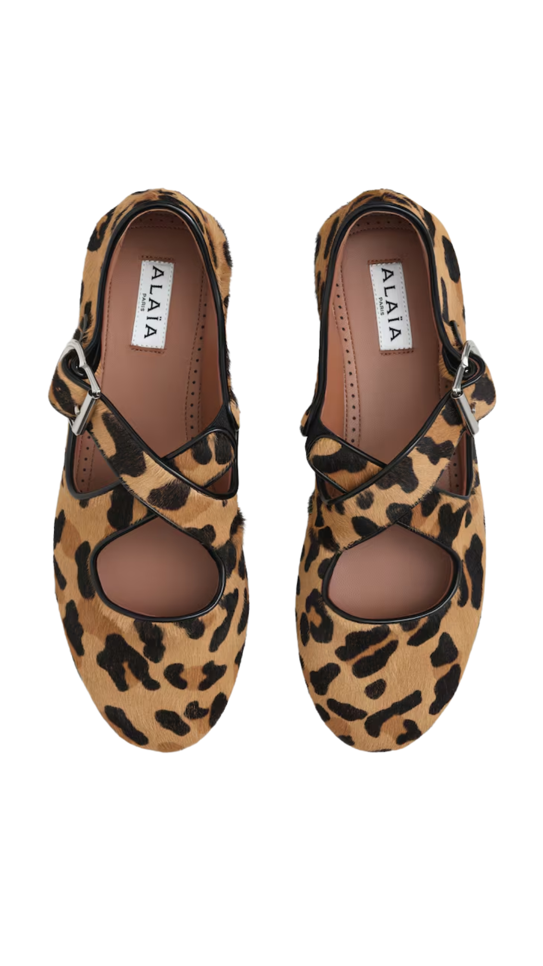 Criss Cross Ballet Flats in Sepia