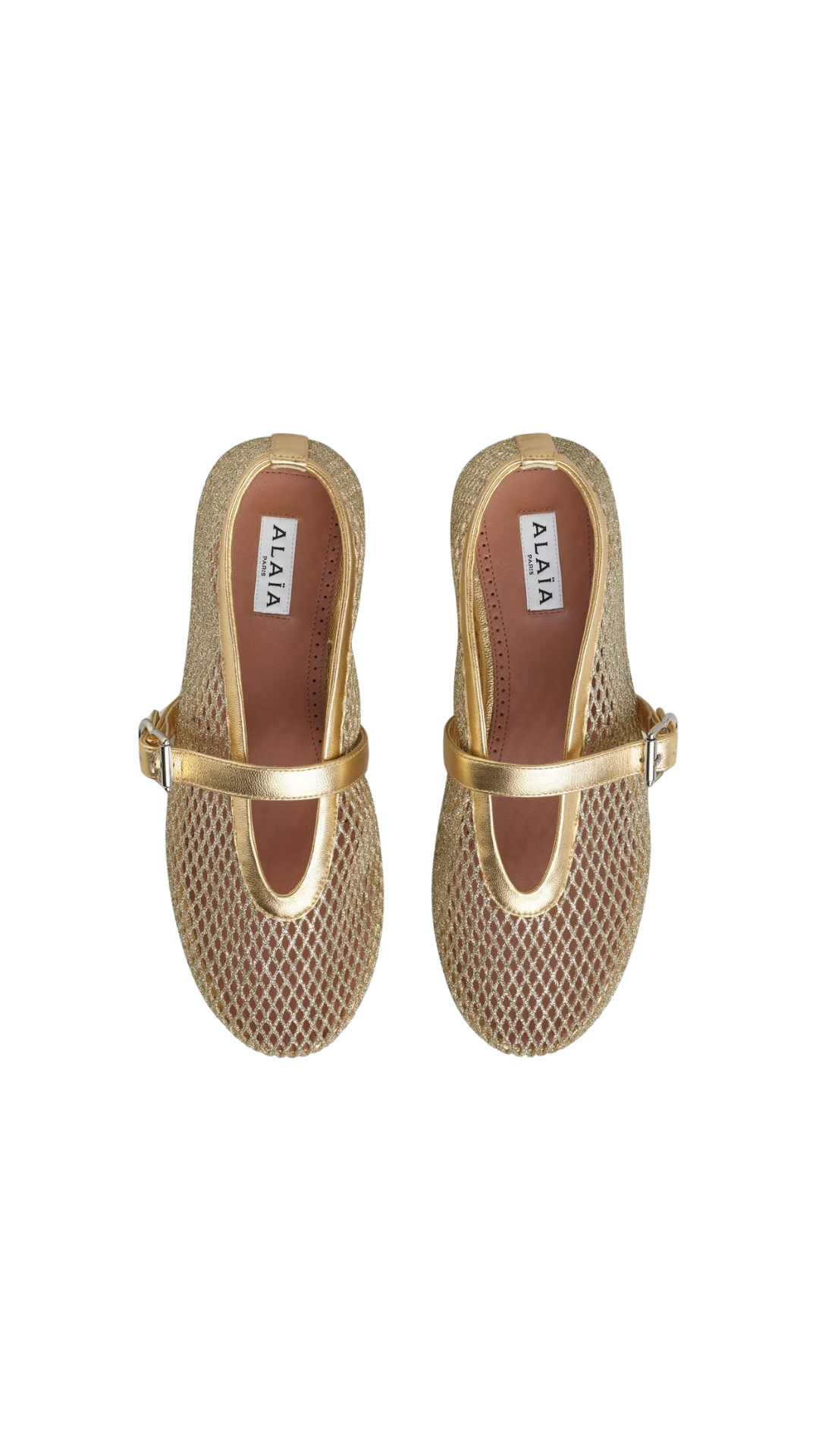 Ballet Flats In Laminated Fishnet in Gold