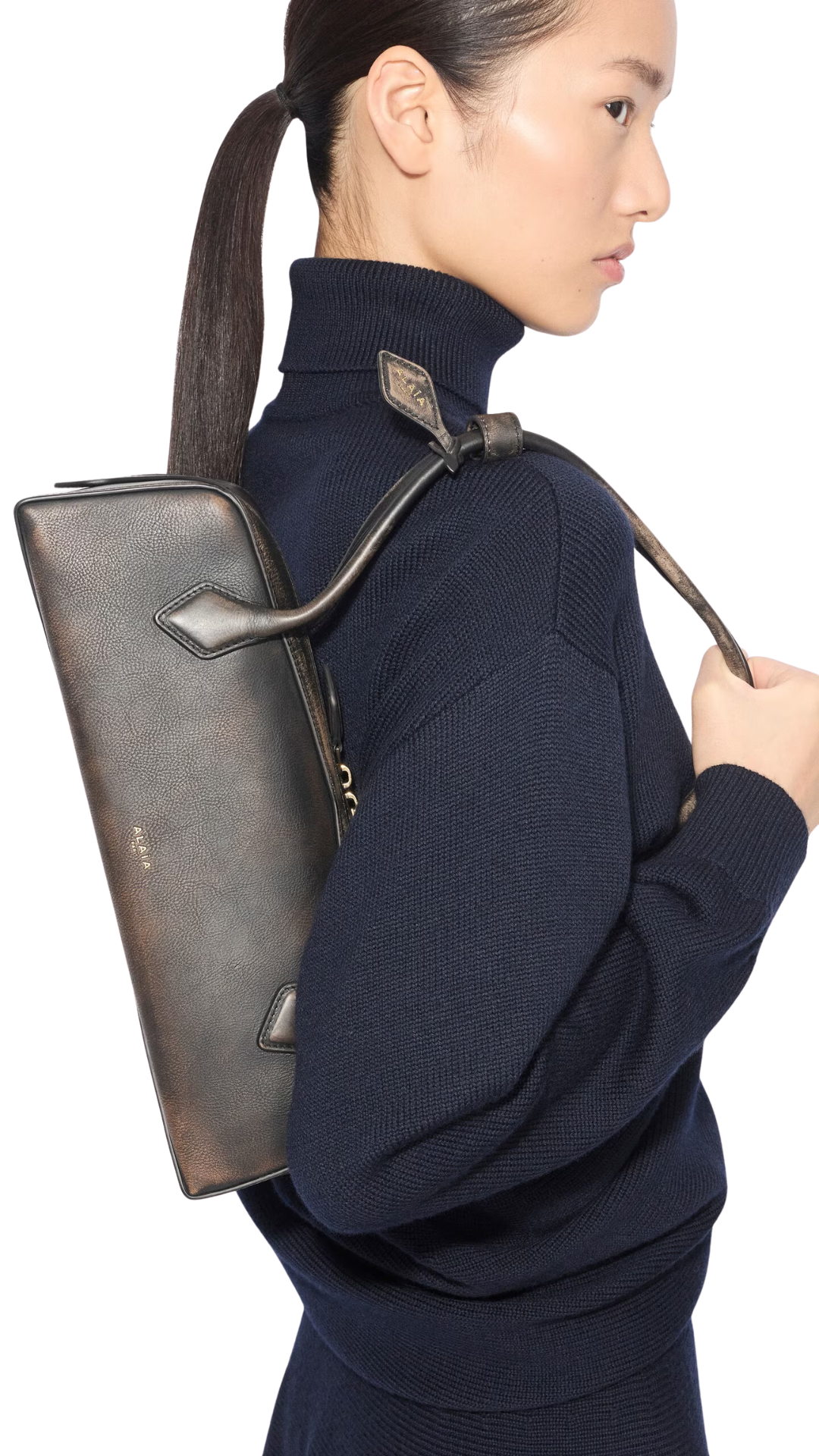 Le Teckel Medium Bag In Aged Leather